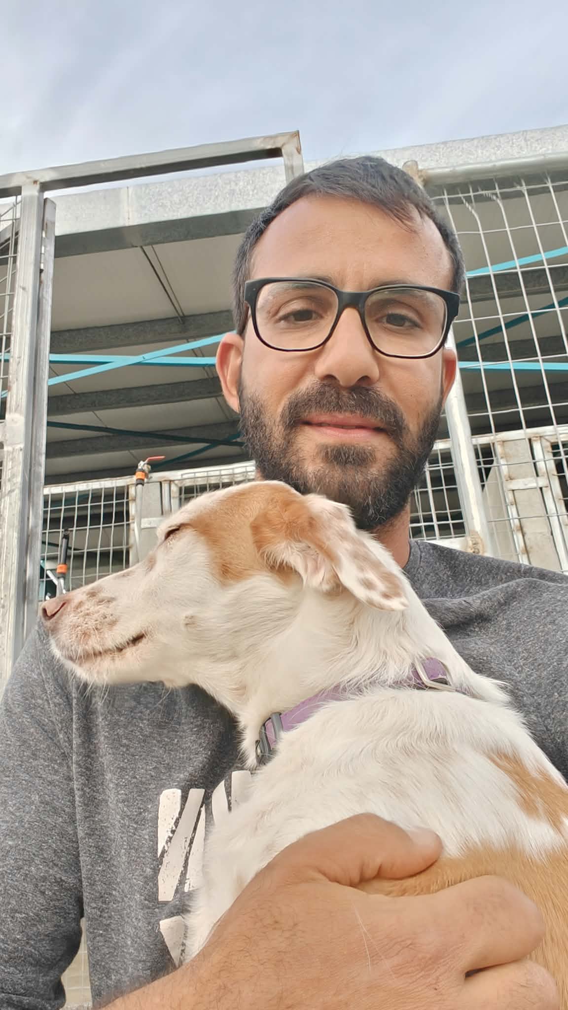 Dog training session